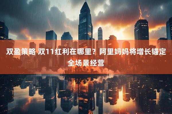 双盈策略 双11红利在哪里？阿里妈妈将增长锚定全场景经营