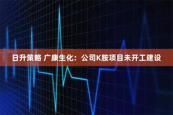日升策略 广康生化：公司K胺项目未开工建设