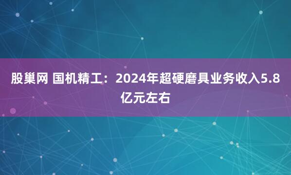 股巢网 国机精工：2024年超硬磨具业务收入5.8亿元左右