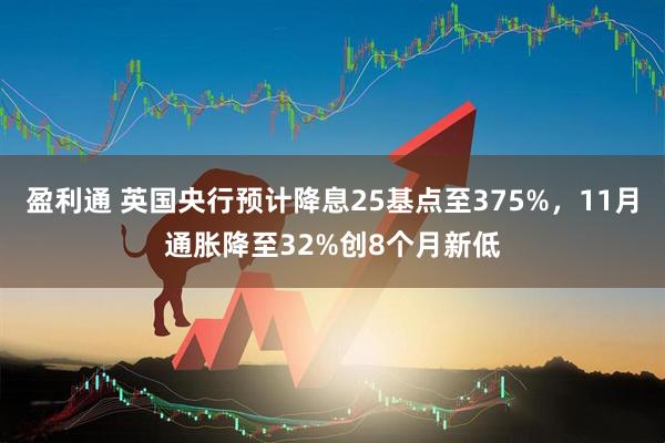 盈利通 英国央行预计降息25基点至375%，11月通胀降至32%创8个月新低