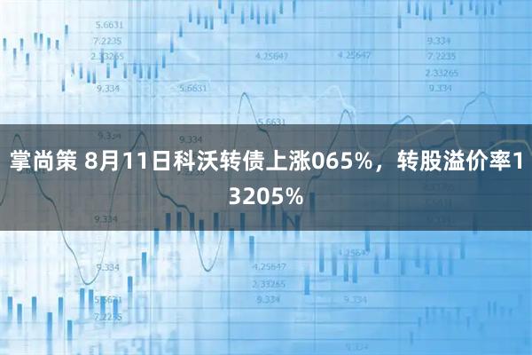 掌尚策 8月11日科沃转债上涨065%，转股溢价率13205%