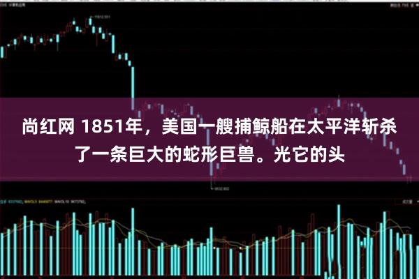 尚红网 1851年，美国一艘捕鲸船在太平洋斩杀了一条巨大的蛇形巨兽。光它的头